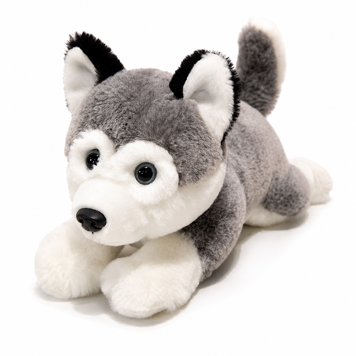 Husky en Peluche