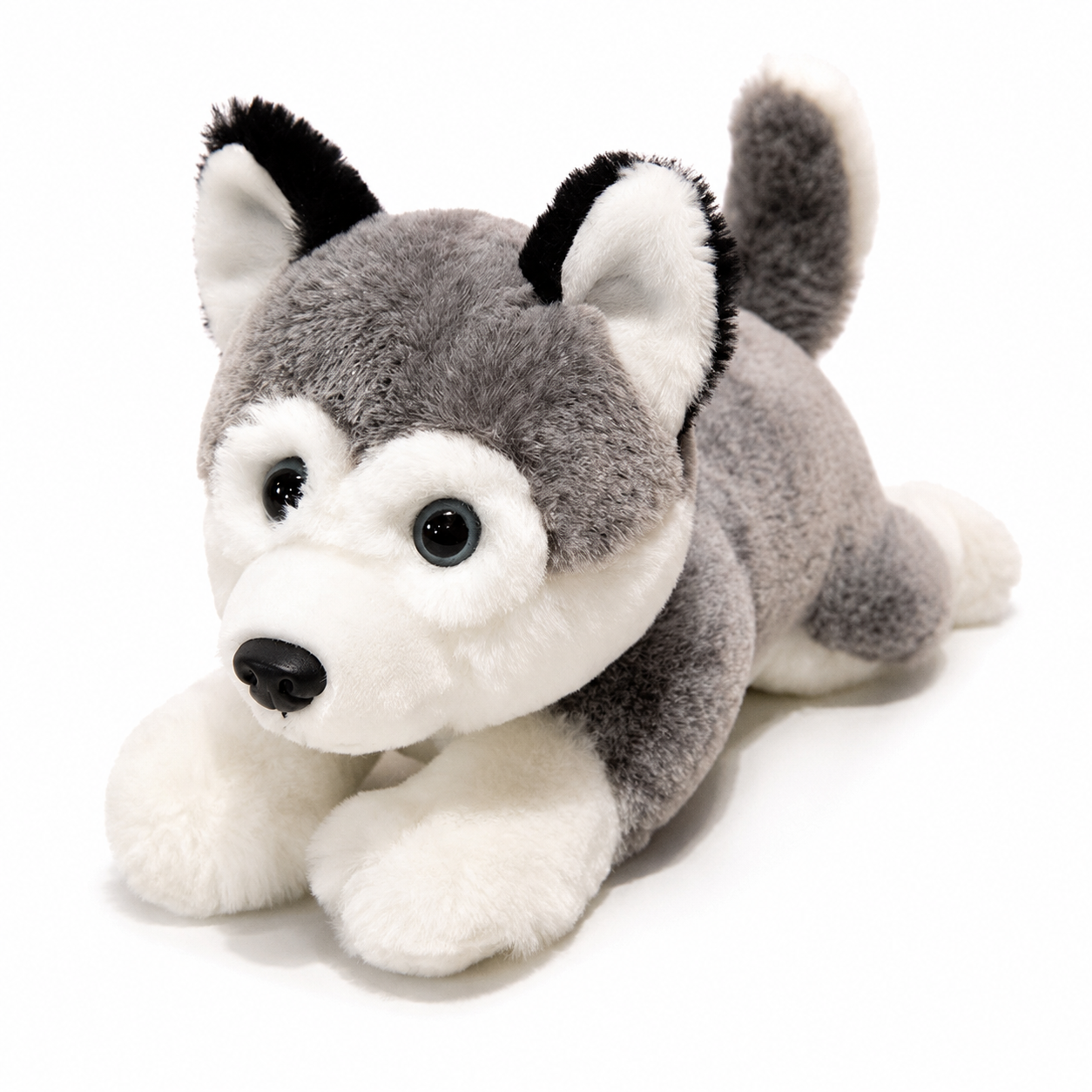 Husky en Peluche