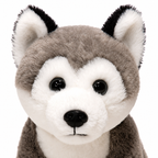 Husky en Peluche
