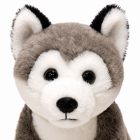 Husky en Peluche