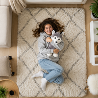 Husky en Peluche