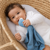 Doudou oie pour bébé